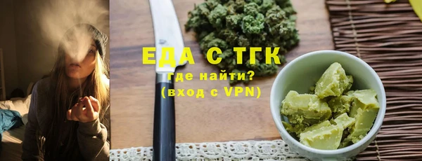 мдпв Туринск