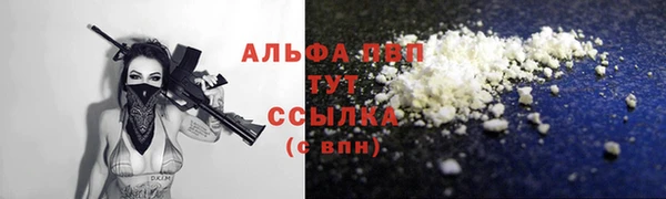 мдпв Туринск