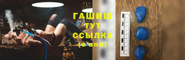 мдпв Туринск
