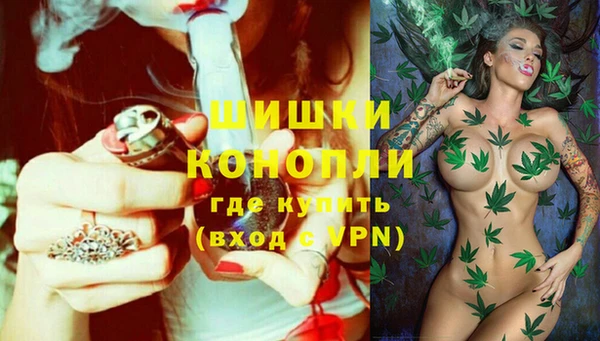 мдпв Туринск