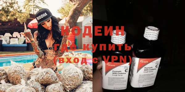 мдпв Туринск