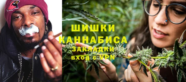 мдпв Туринск