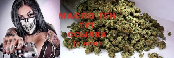 мдпв Туринск