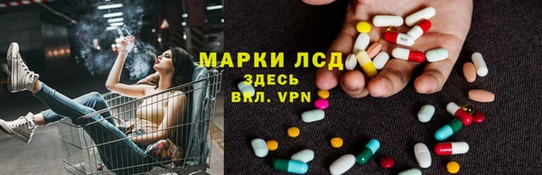 стафф Тында