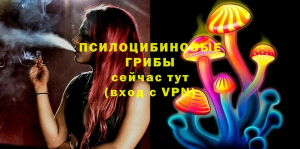 стафф Тында