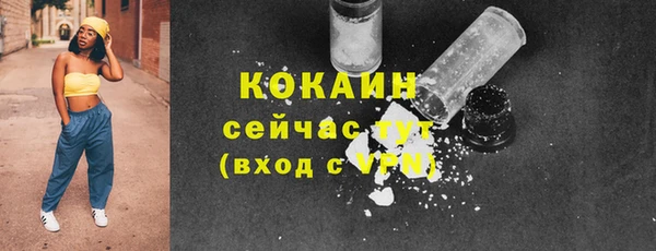 мдпв Туринск