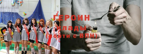 мдпв Туринск