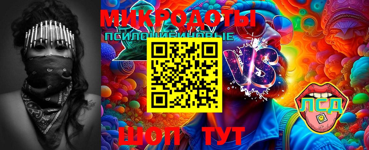 Галлюциногенные грибы Psilocybine cubensis Барабинск